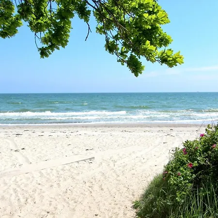 Strandresort Rex Rugia Ferienwohnung 14-6 Mit Sauna- Und Schwimmbadnutzung Im Ahoi Sellin アパート *