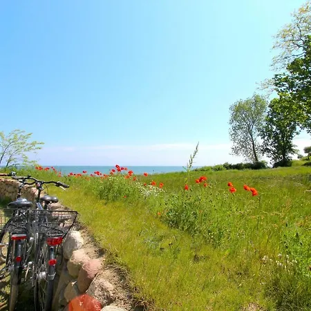 Strandresort Rex Rugia Ferienwohnung 14-6 Mit Sauna- Und Schwimmbadnutzung Im Ahoi Sellin アパート